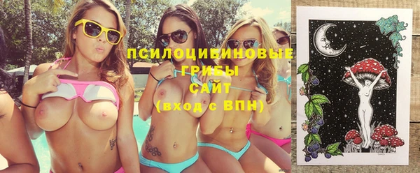 прущие крисы Арсеньев