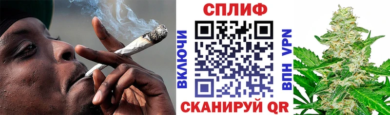Каннабис MAZAR  Шахунья 